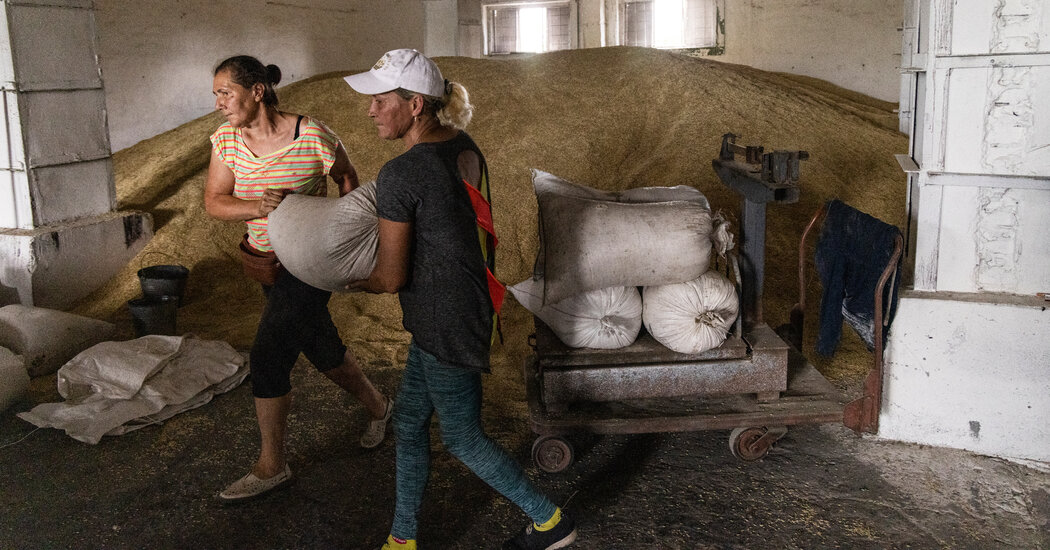 La UE extiende la exención arancelaria para el grano ucraniano, a pesar de algunas protestas