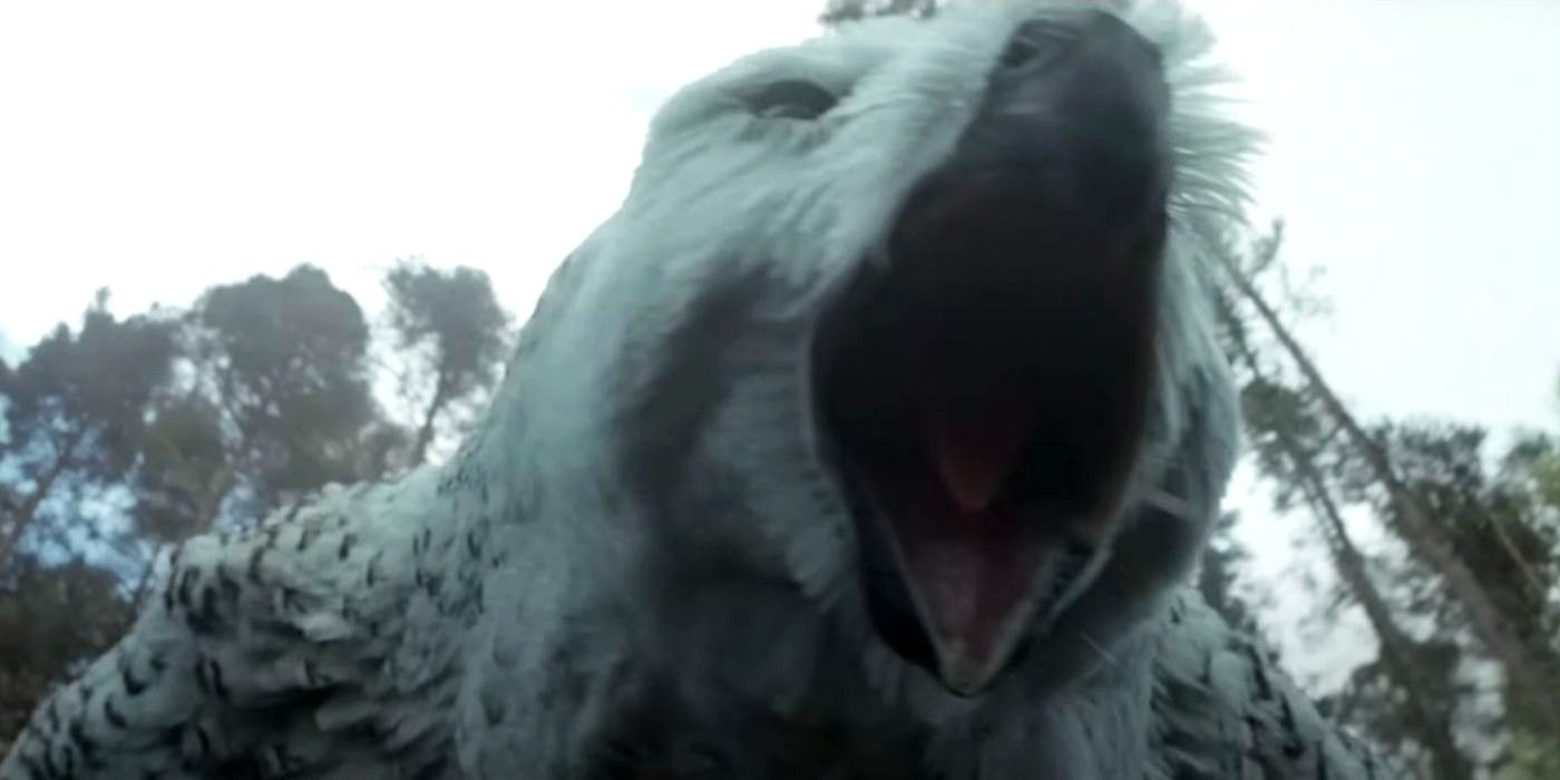 La película DnD tiene una respuesta perfecta a la controversia de Owlbear en un nuevo comercial