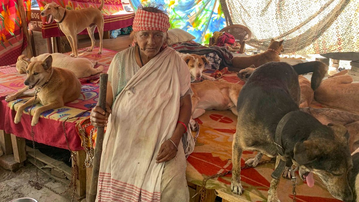 “La señora de los perros”: vecindario dividido por anciana que cuida a más de 200 animales
