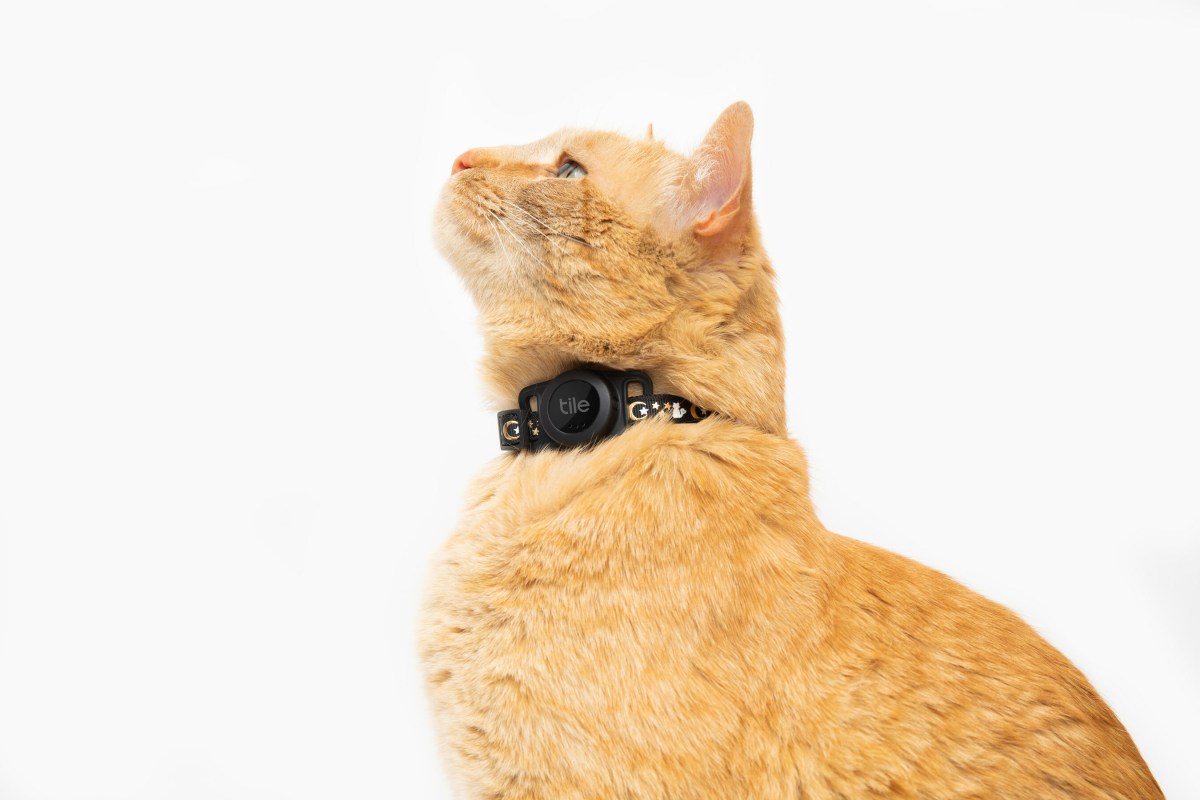 Tile lanza una nueva etiqueta de rastreo para gatos con una duración de batería de tres años