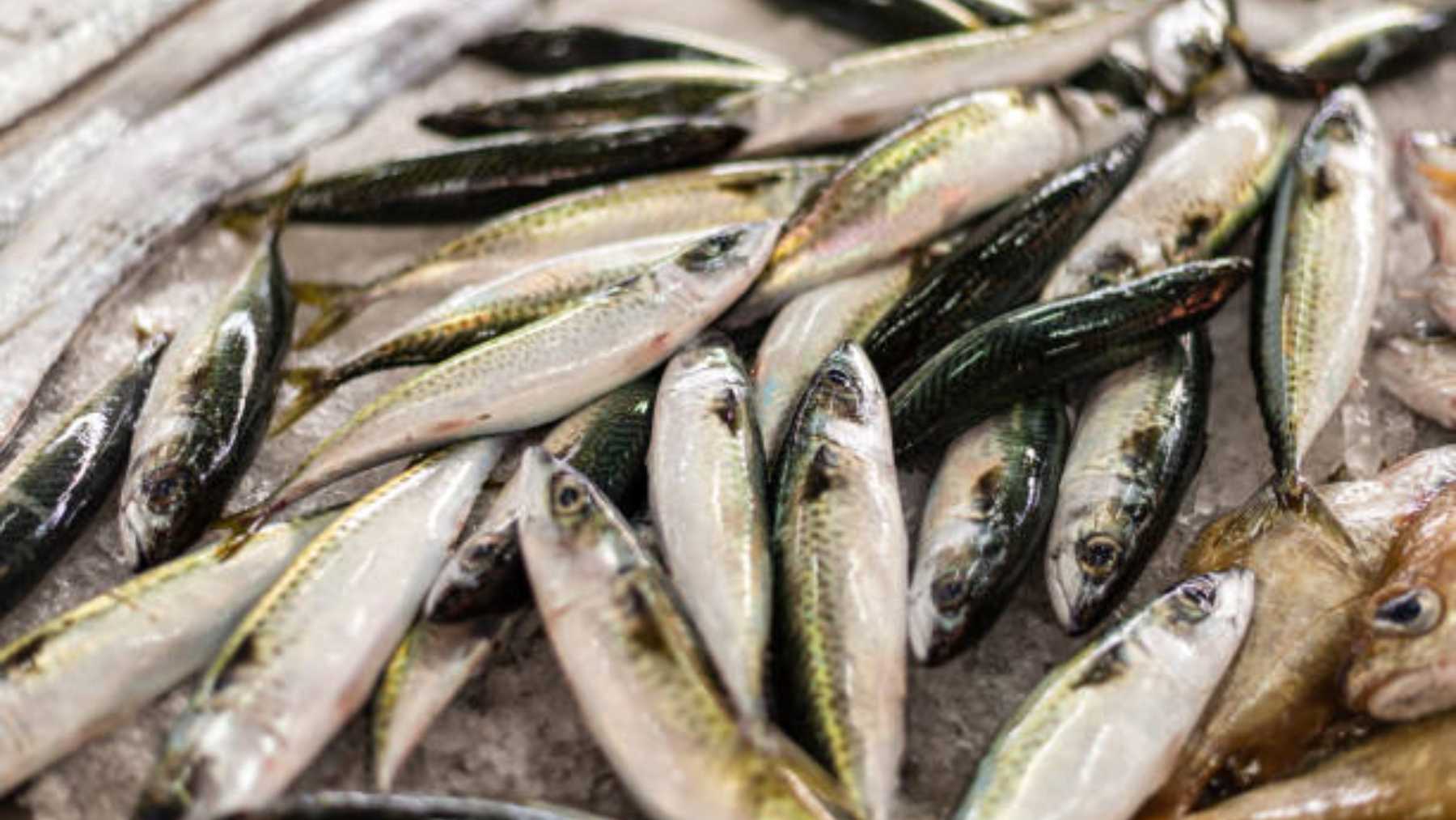 Un estudio revela los pescados con más probabilidad de tener anisakis: mucho cuidado