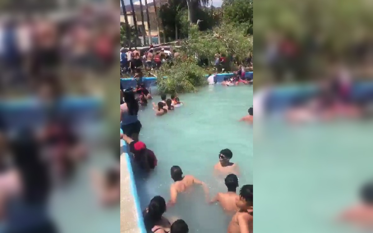 Video | Cae árbol en balneario de Guanajuato; varios heridos