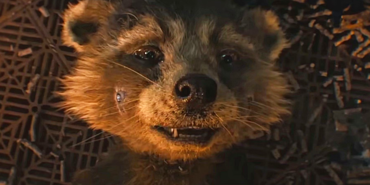 “Y yo, Rocket”: el desgarrador clip de Guardianes de la Galaxia 3 revela el origen del nombre de Rocket Raccoon