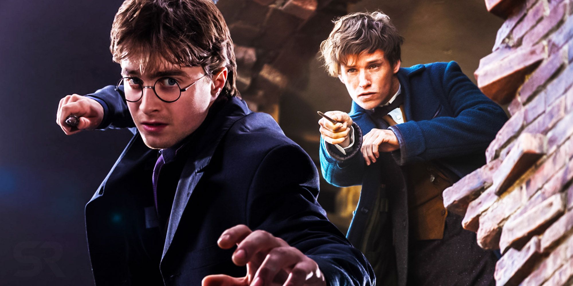 Harry potter and newt scamander Fantastic Beasts