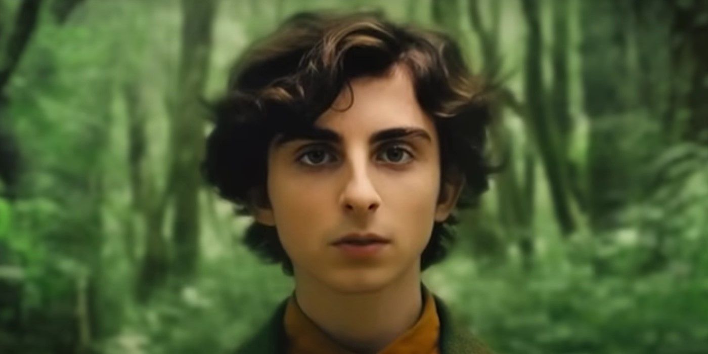 AI Lord of the Rings as a Wes Anderson movie with Timothee Chalamet as Frodo.