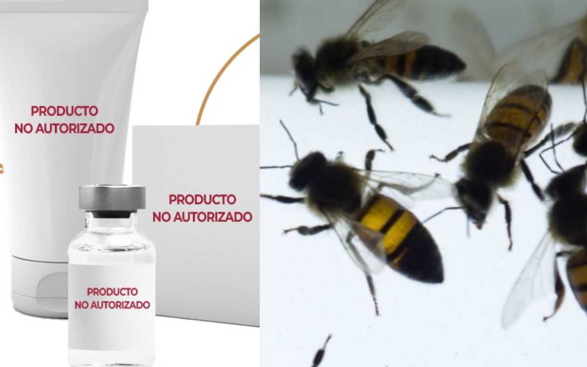 Alerta Cofepris por productos con veneno de abeja
