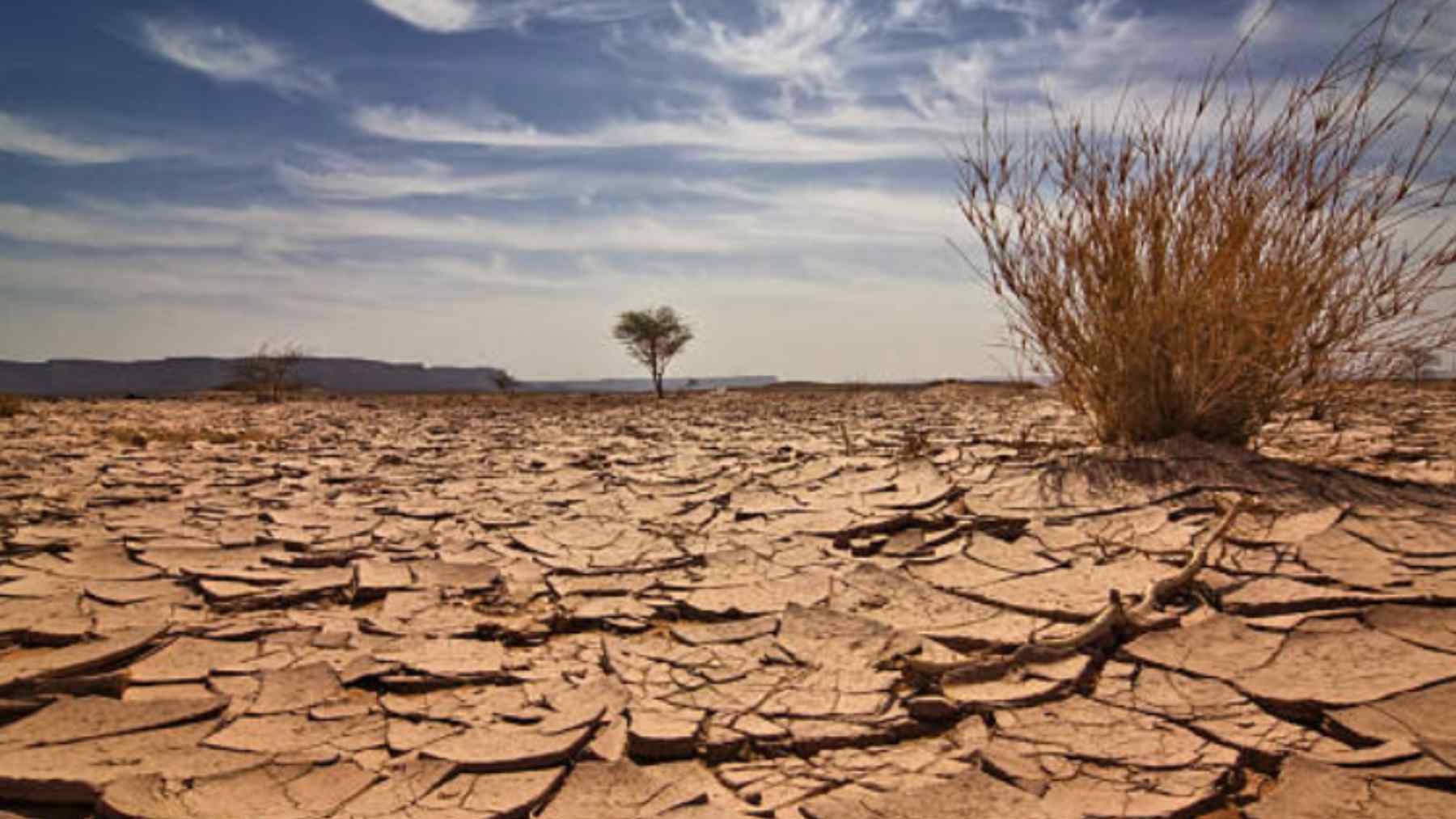 Así será el fin del mundo según la Biblia: en forma de sequía