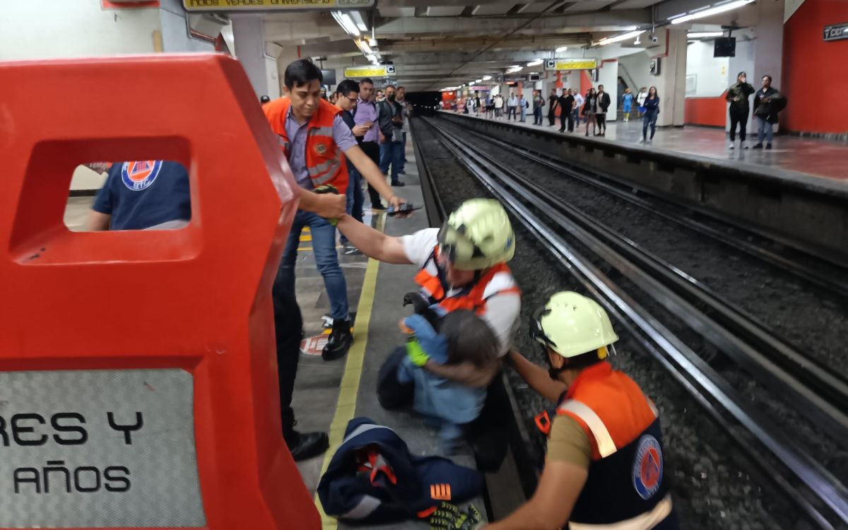 CDMX: Rescate de gallina en vías detiene la Línea 9 del Metro