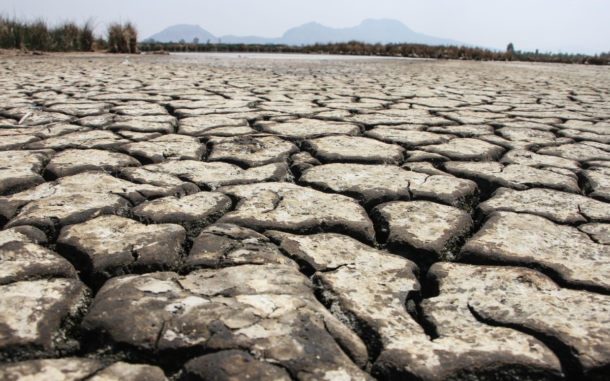 Cambio climático y El Niño elevarán temperaturas a nivel ‘desconocido’: ONU