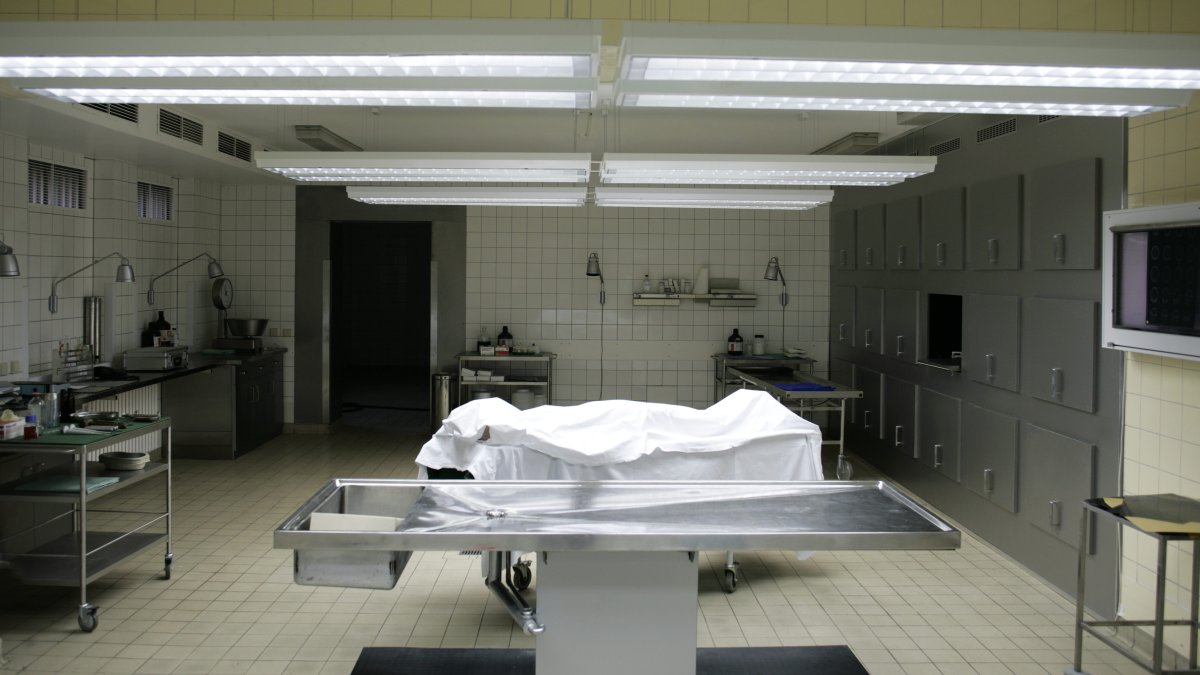 Demandan a extrabajadora de morgue de NY por publicar fotos de cadáveres en Instagram