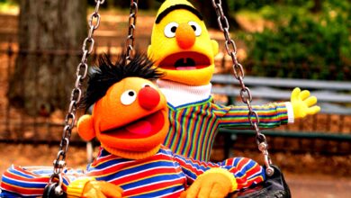Sesame Street's Bert and Ernie riding in tire swing together