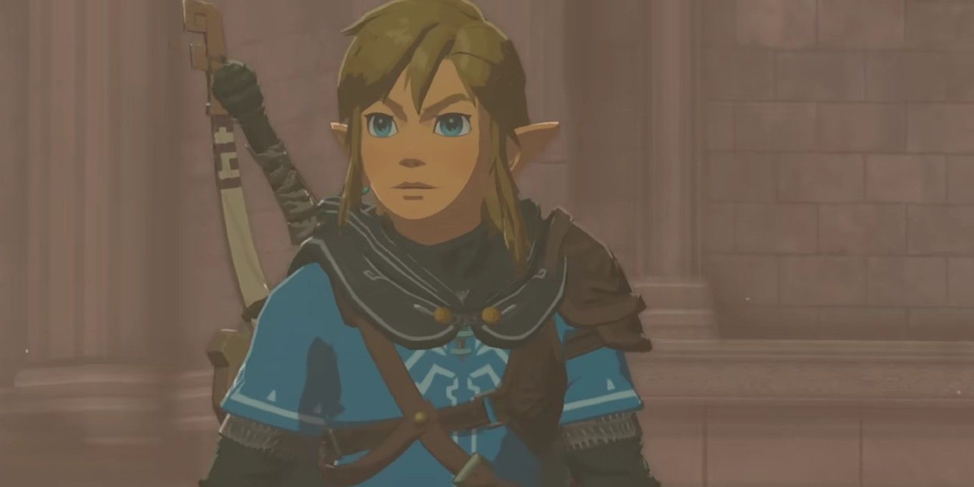 Link wearing a Hylian Hood in The Legend of Zelda: Tears of the Kingdom.