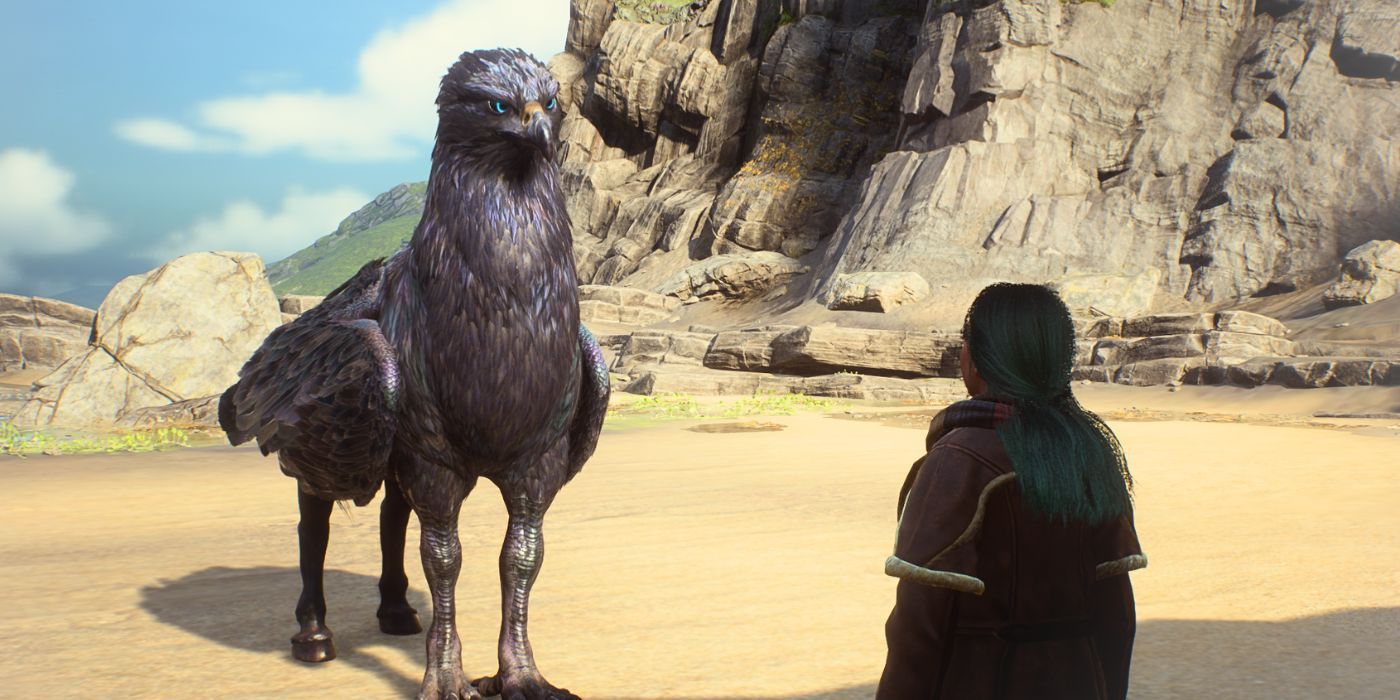 A player standing on the Beach Vivarium as a black Hippogriff looks at them in Hogwarts Legacy.