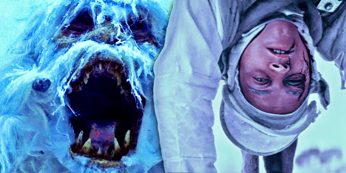 The wampa and Luke Skywalker in The Empire Strikes Back.
