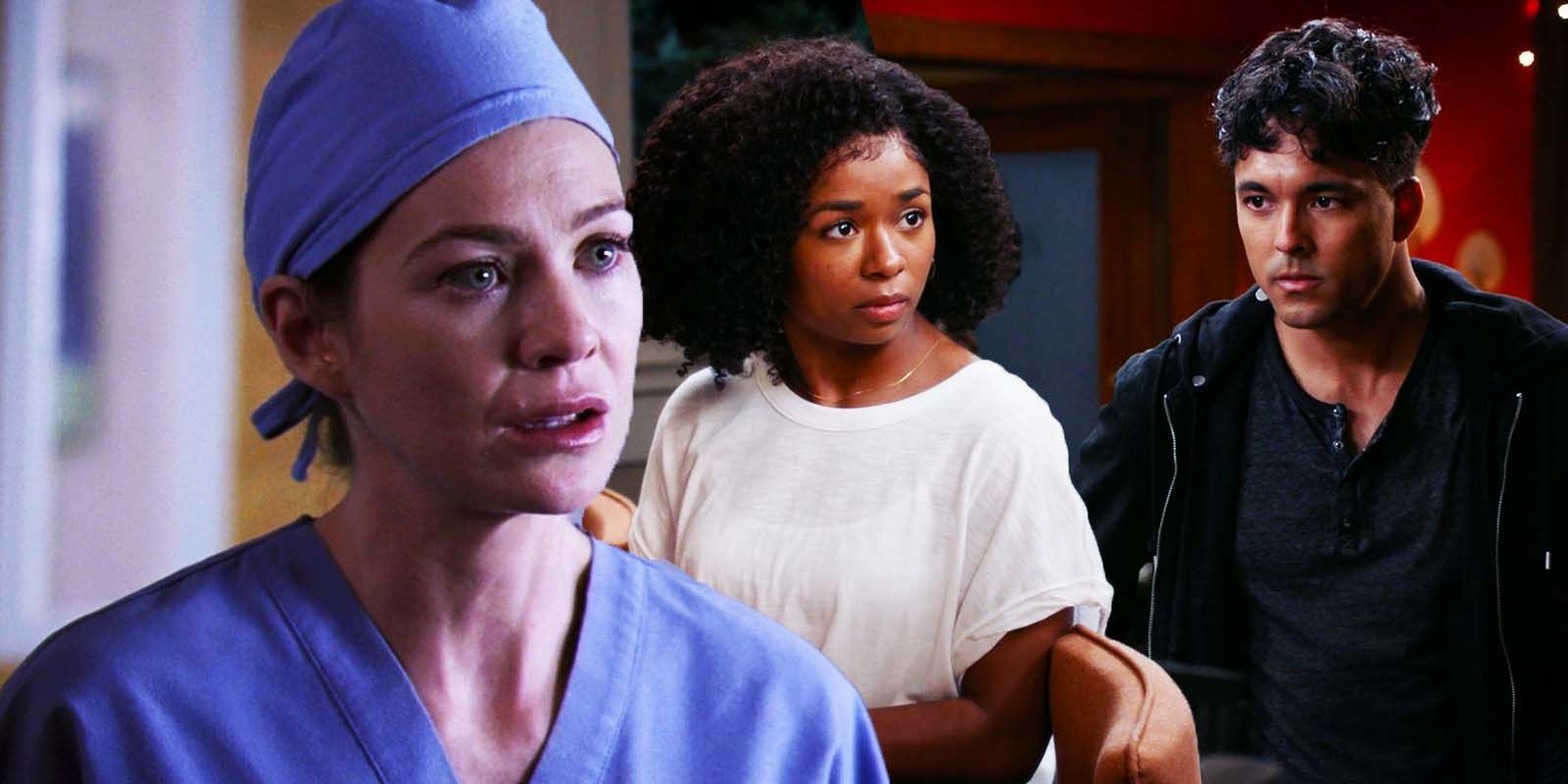 Ellen Pompeo as Meredith Grey in Grey's Anatomy season 2 episode 5, Alexis Floyd as Simone Griffith and Niko Terho as Lucas Adams in Grey's Anatomy season 19 episode 18