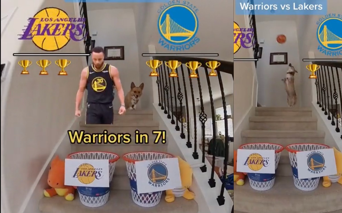 NBA Playoffs: Corgi predice la remontada de los Warriors ante los Lakers