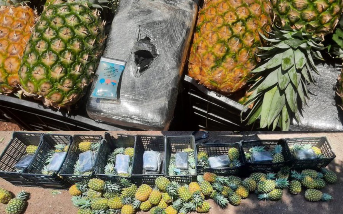 Piñas y cocaína; Guardia Nacional intercepta camión con 310 kilos de la droga