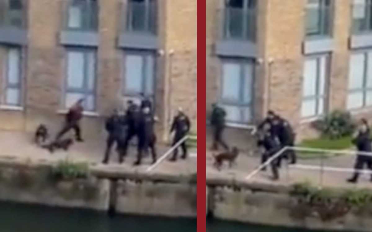 Policía de Londres mata dos perros | Fuertes imágenes