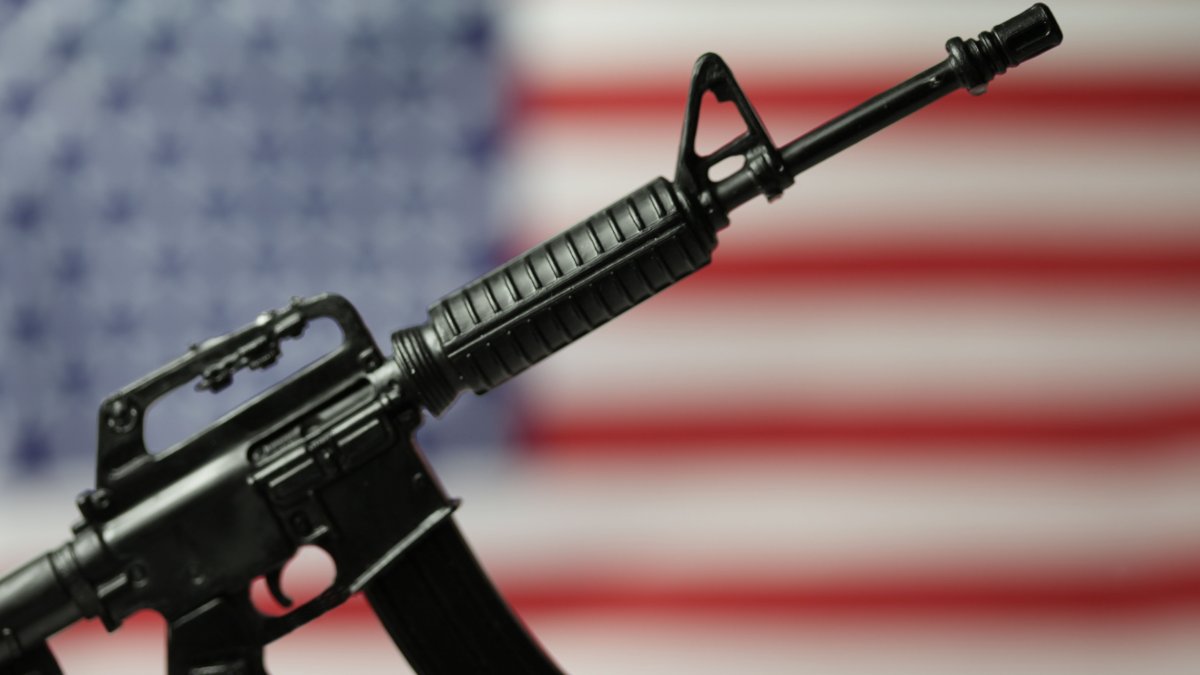 Por qué los rifles AR-15 son tan populares en Estados Unidos