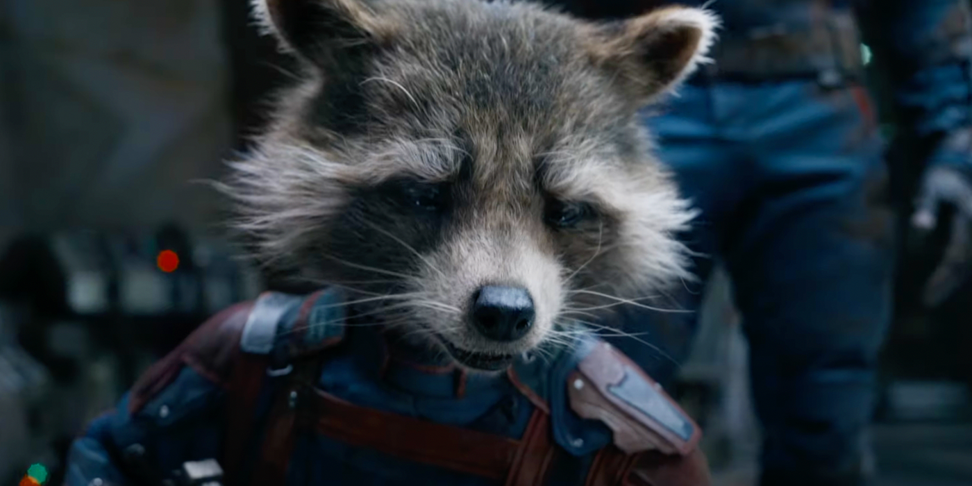 rocket in guardians of the galaxy vol 3 new trailer