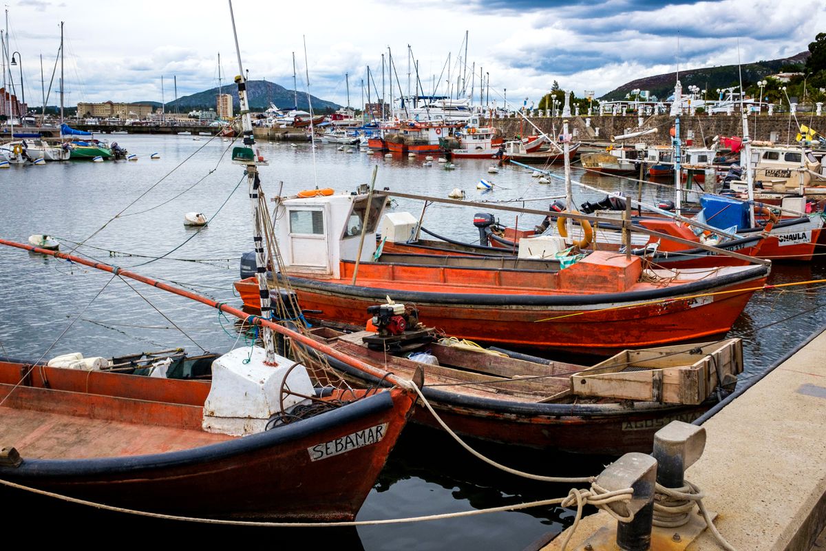 Uruguay da la espalda al mar: la industria pesquera cae 49% en una década