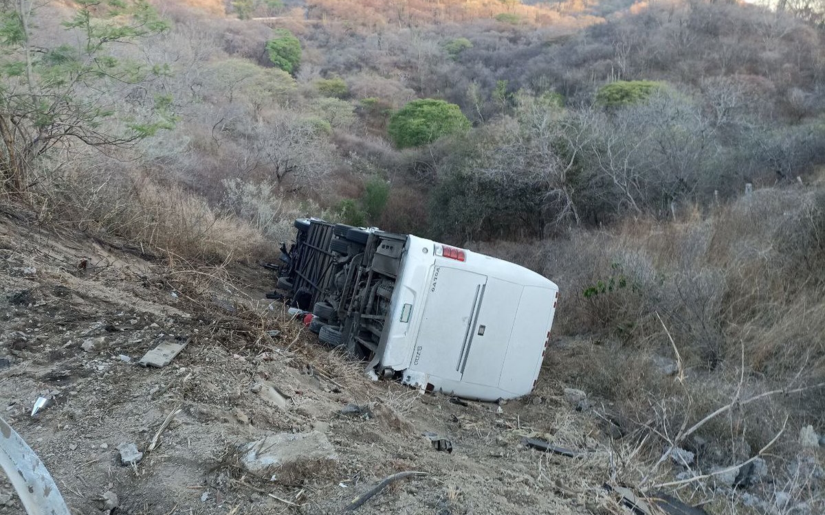 Video | Camión con equipo de futbol infantil cae a un barranco en Guadalajara; hay un muerto