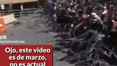 Viralizan video que muestra estampida en la frontera, pero no es actual