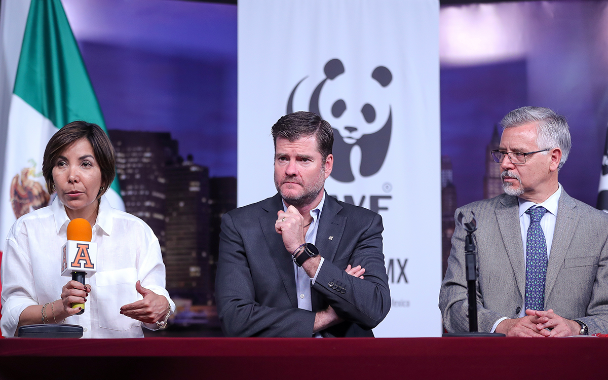 WWF plantea combatir el desperdicio de alimentos en México