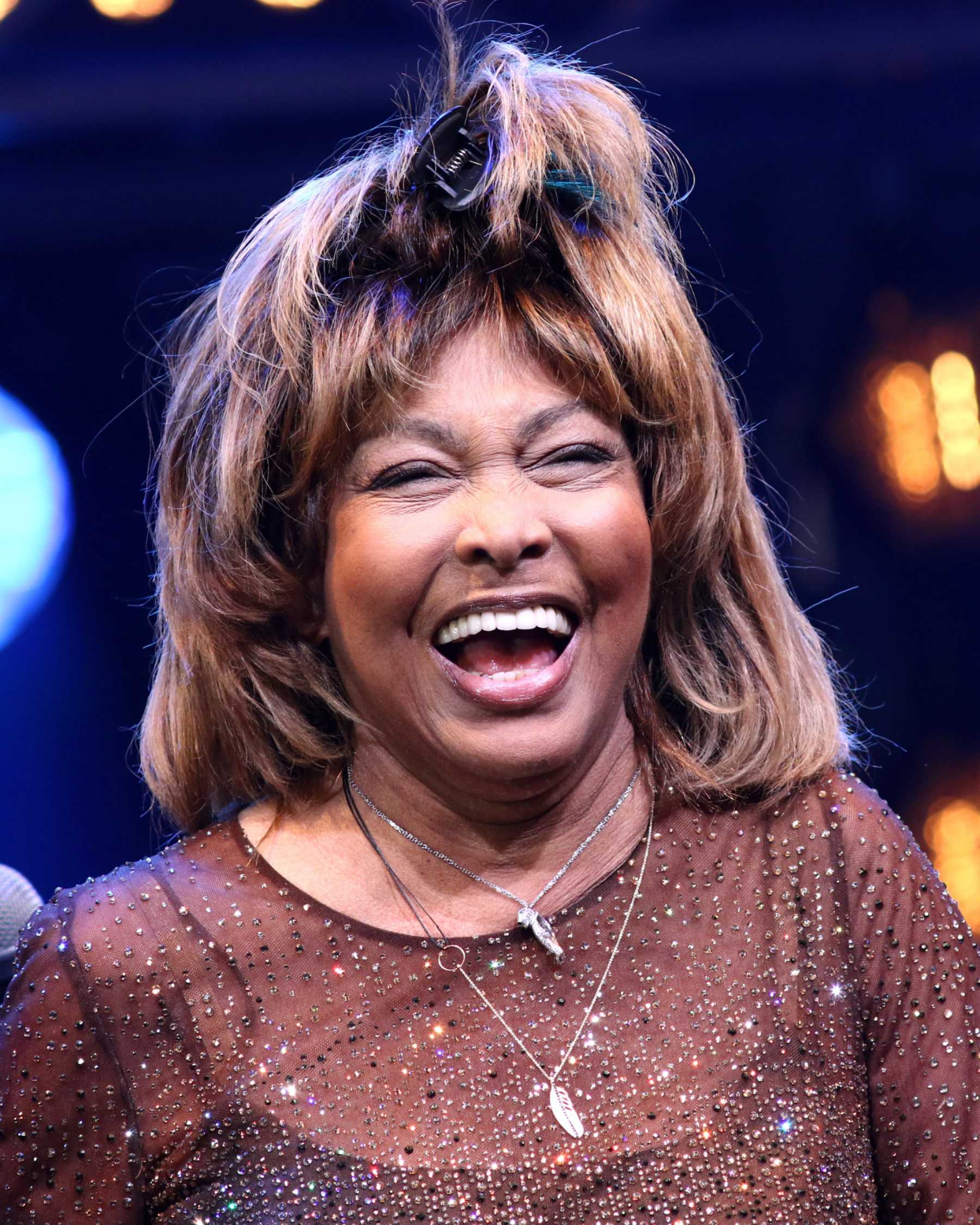 Tina Turner durante una de sus actuaciones / Gtres