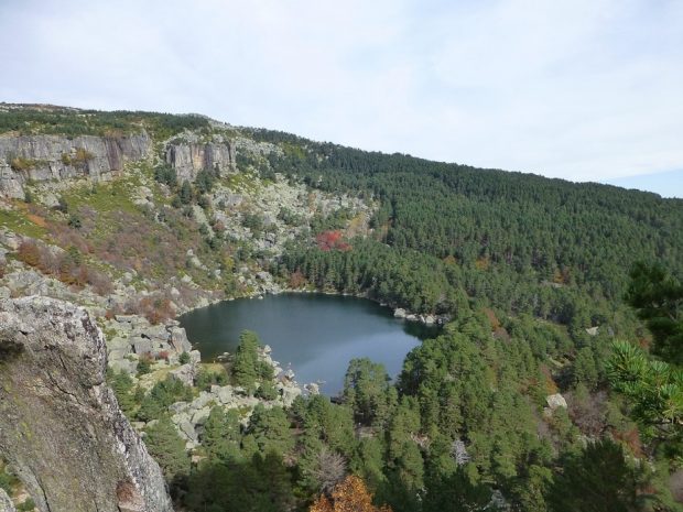 Te sorprenderán las historias: los 6 bosques encantados de España que más mitos ocultan