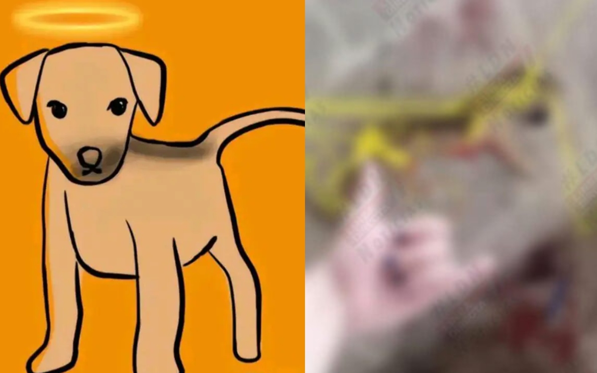 Adolescente que mató a perrito Huellitas recibirá atención psicológica en libertad