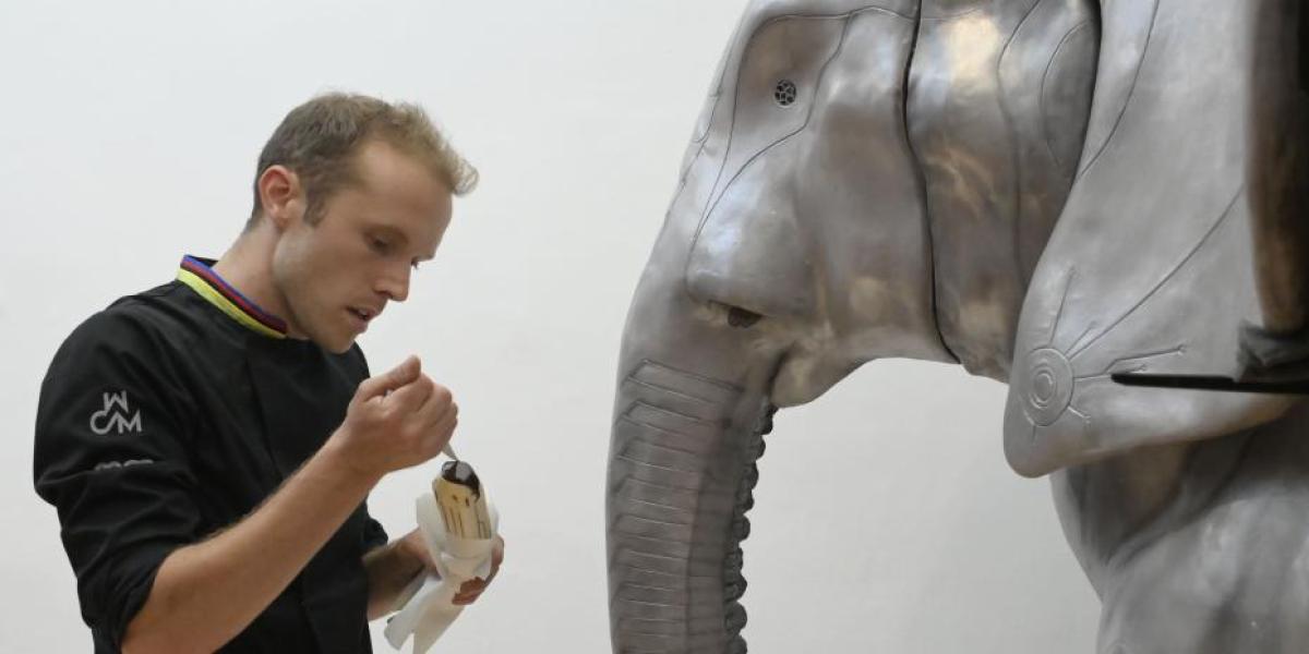 El elefante de 1,5 m y 100 kgs de chocolate llega al Museo de Barcelona