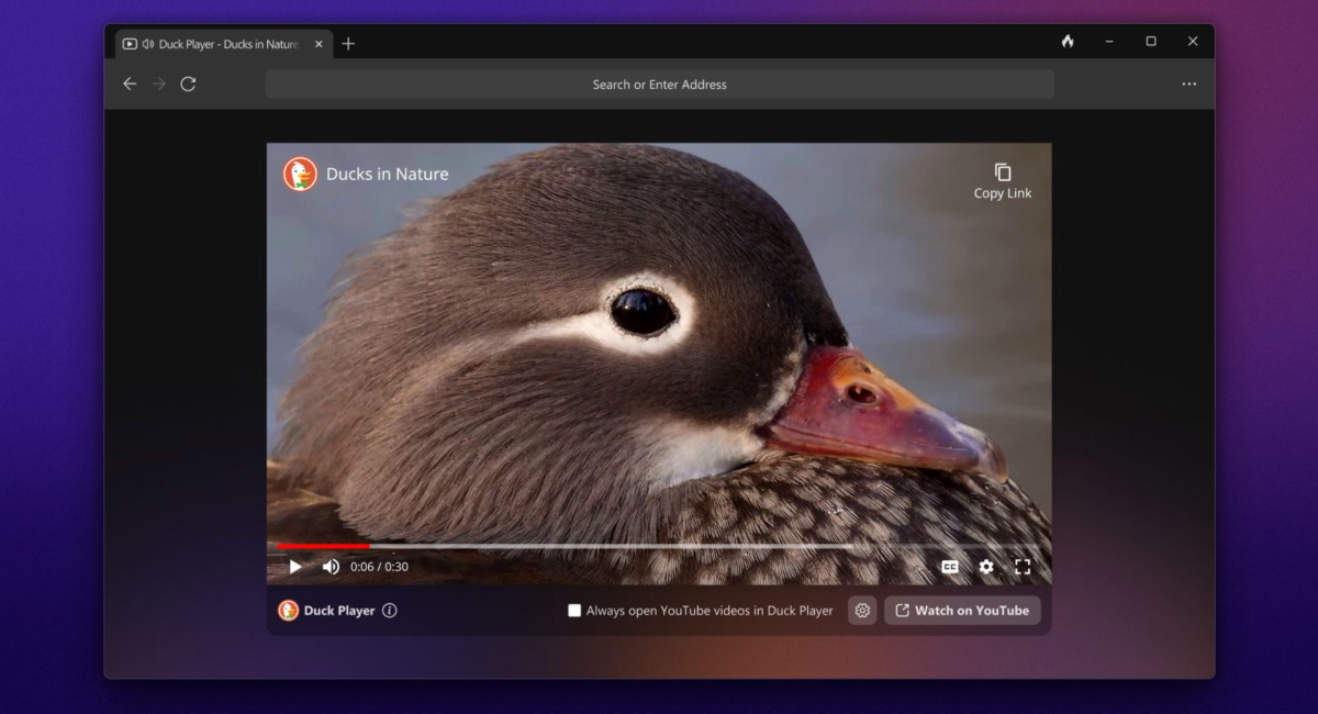 El navegador de Windows de DuckDuckGo ya está disponible en versión beta abierta