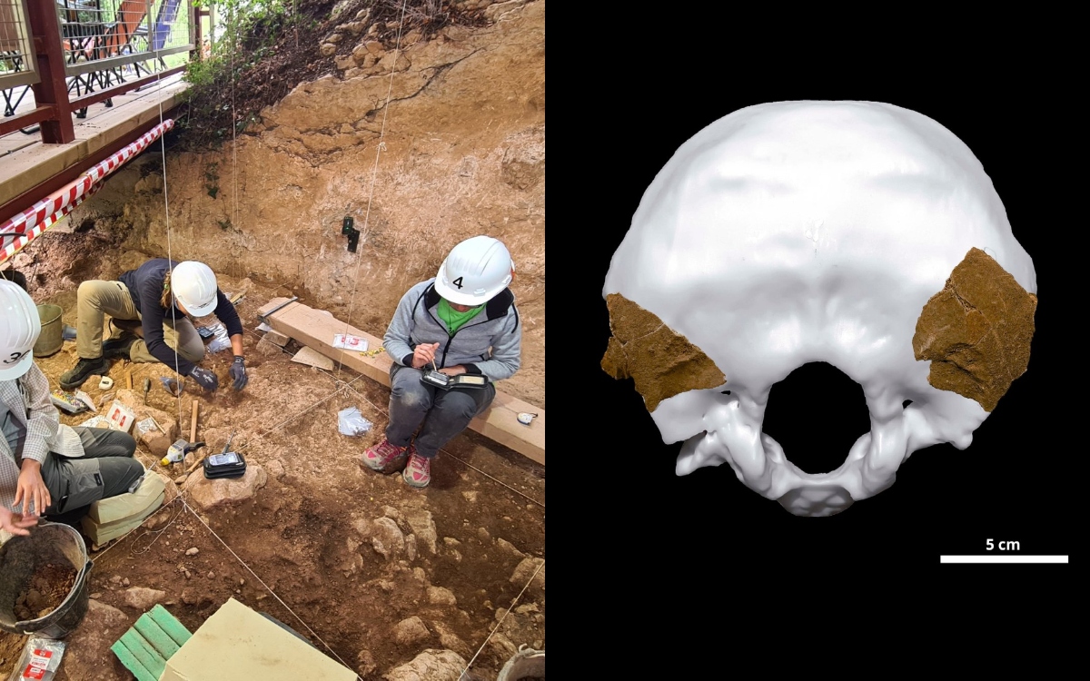 España: Hallan restos humanos neandertales canibalizados hace 52 mil años