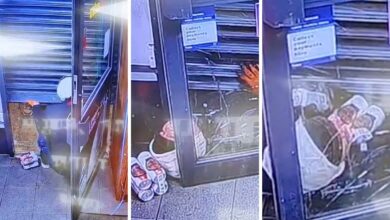 Ladrón queda atorado bajo la persiana de una tienda y decide tomarse unas cervezas | Video