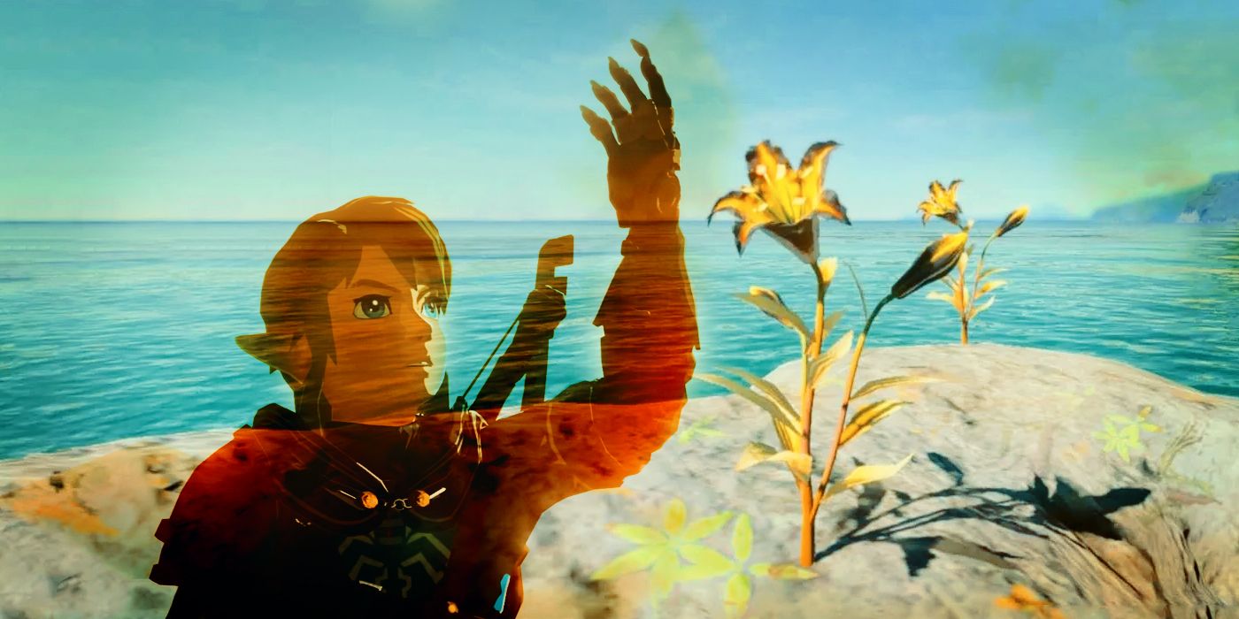 An image of Link transposed over a shot of Sundelions next to a body of water in Tears of the Kingdom.