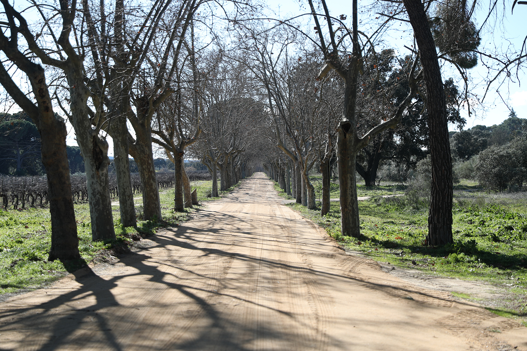 Jardín del Palacio de El Rincón. / Gtres