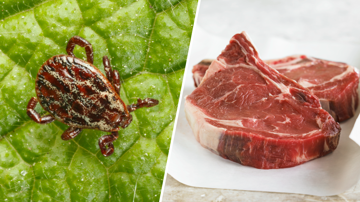 Alergia a la carne causada por garrapatas podría afectar a miles en EEUU, según los CDC