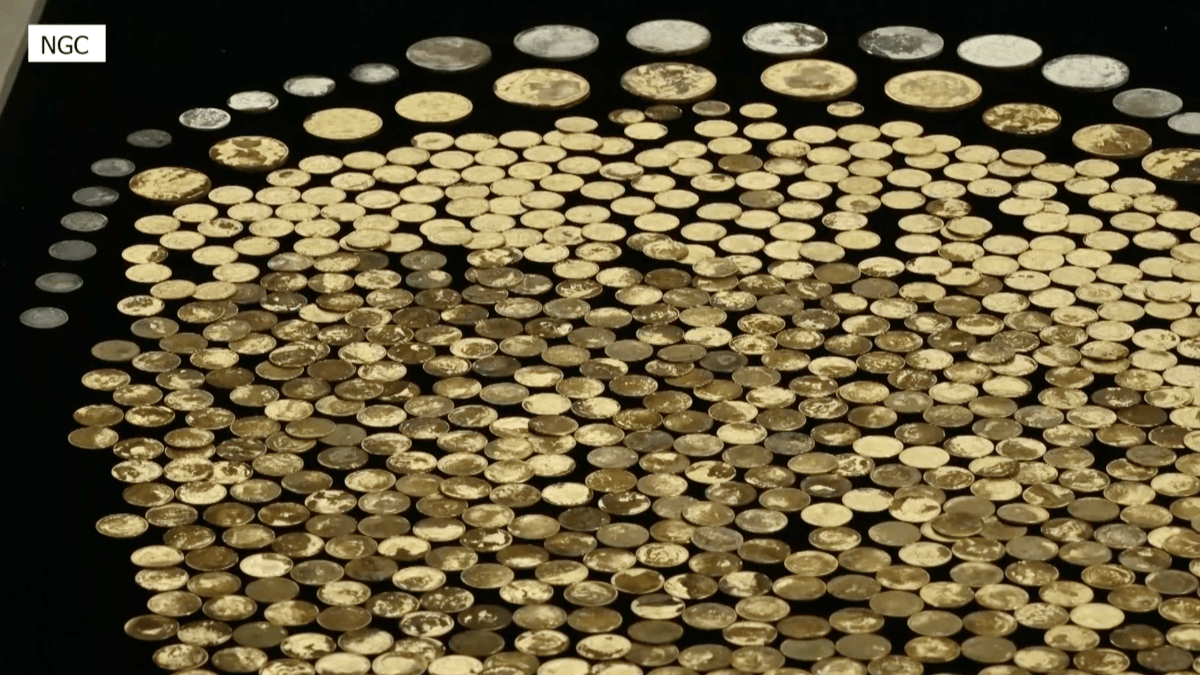 Hallan monedas de oro en un campo de maíz en Kentucky