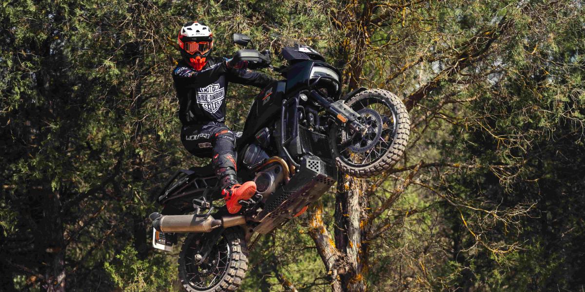 Joan Pedrero gana la categoría Maxi Trail en la Baja Aragón con una Harley-Davidson