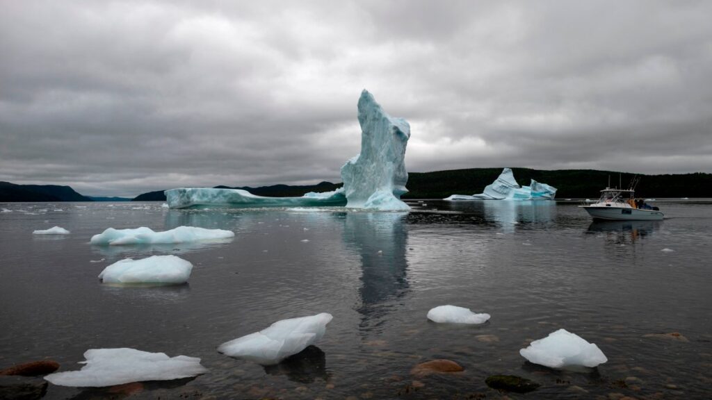 Lo peor podría estar por venir: científicos alertan por altas temperaturas en los océanos