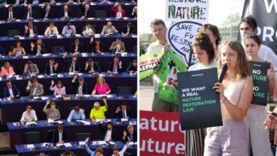 Parlamento Europeo aprueba ley para proteger la biodiversidad