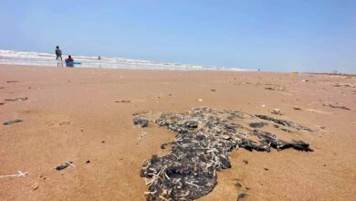 Reportan efectos del derrame petrolero en playas de Tabasco, Tamaulipas y Veracruz