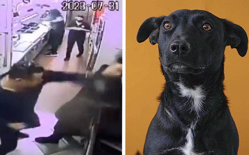 Agresor de menor en Subway presuntamente también 'molió a golpes' a perro