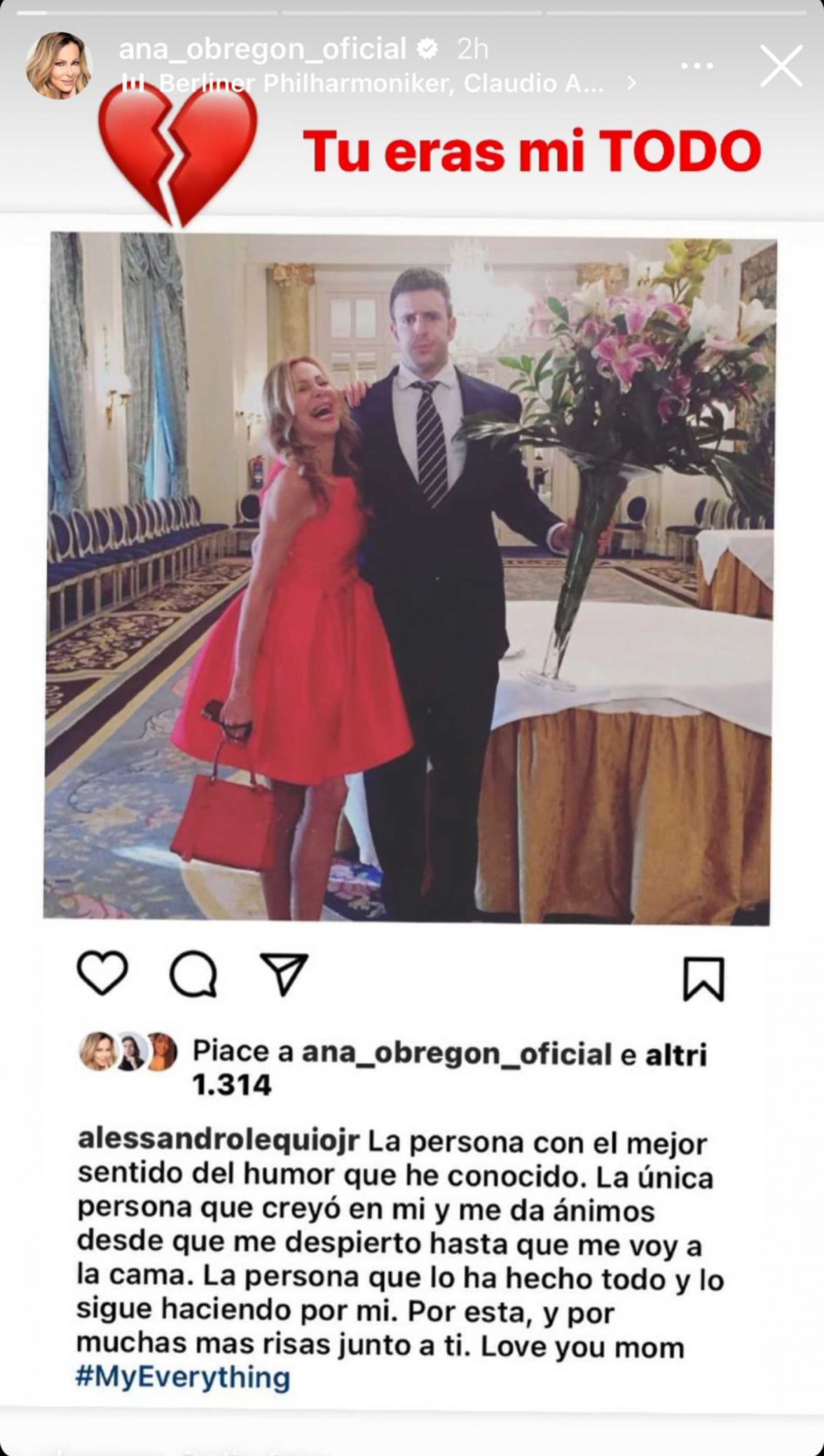 Stories de Instagram de Ana Obregón / Instagram