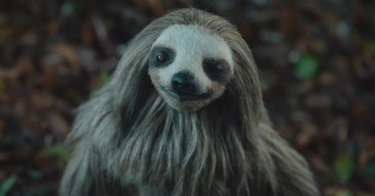 El tráiler de Slotherhouse revela el primer vistazo a la película de terror Killer Sloth