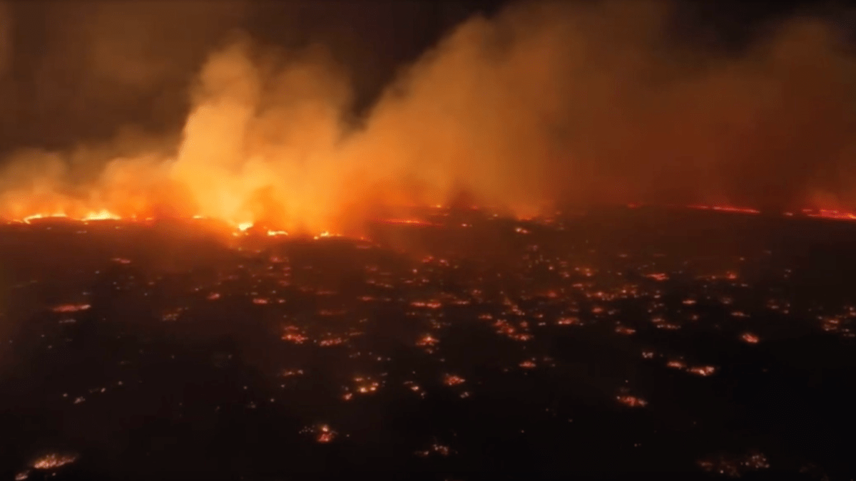 Incendios forestales queman histórico pueblo de Lahaina en Hawaii