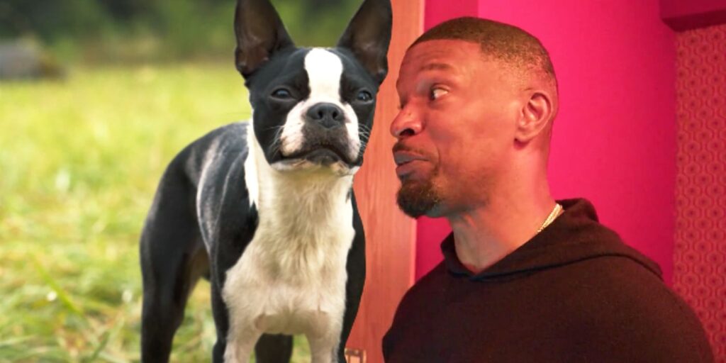 Jamie Foxx y Will Ferrell obtienen un vulgar AF grabando el diálogo de Strays en el tráiler de BTS