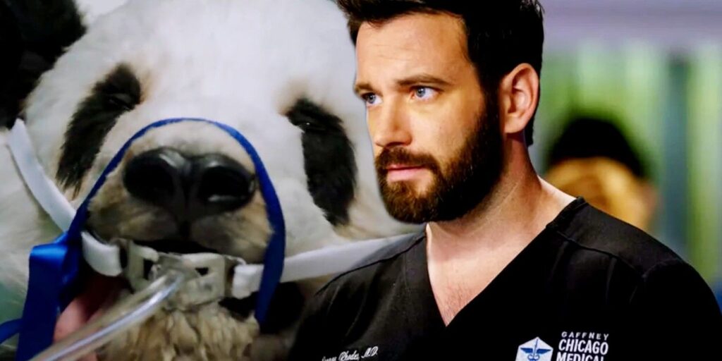 "Making Sh*t Up": médico de la vida real está horrorizado por el episodio de Chicago Med sobre la cirugía del corazón de Panda