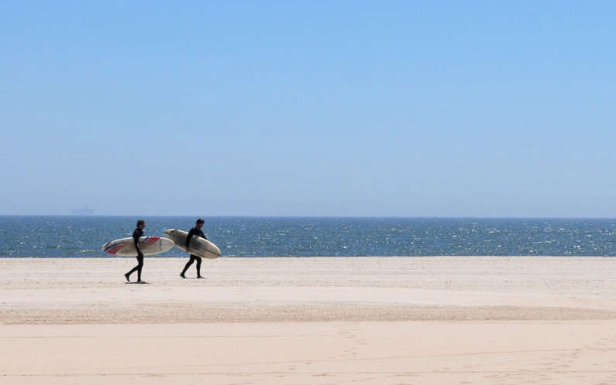 NY: Cierra una de sus playas más icónicas por el ataque de un tiburón